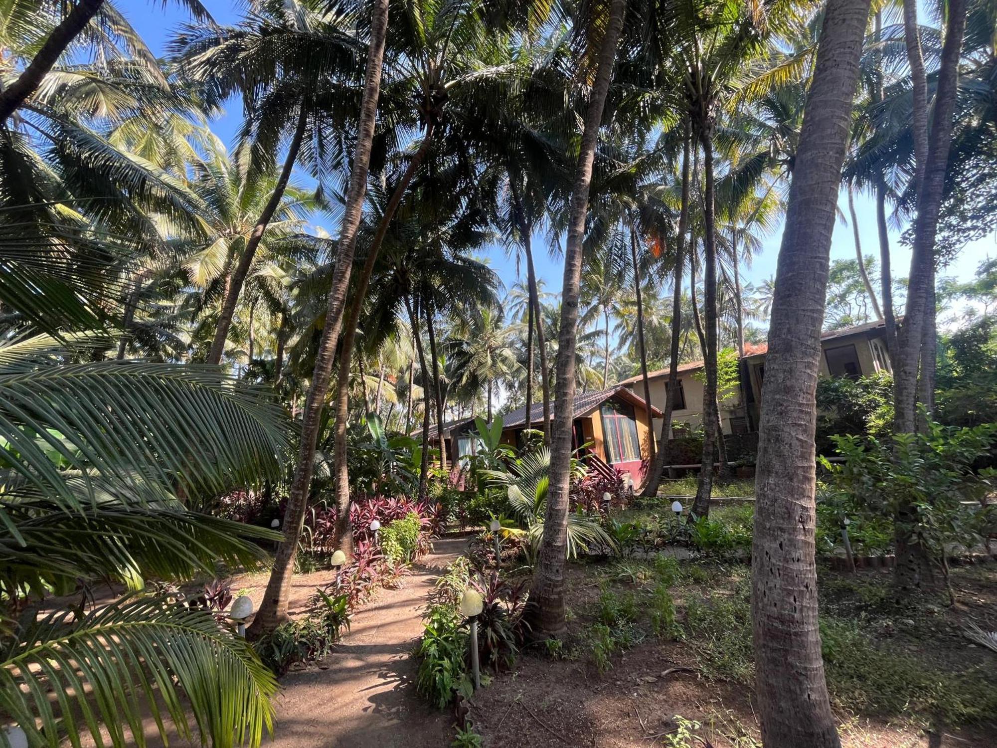 Seaswan Resort Алибаг Экстерьер фото